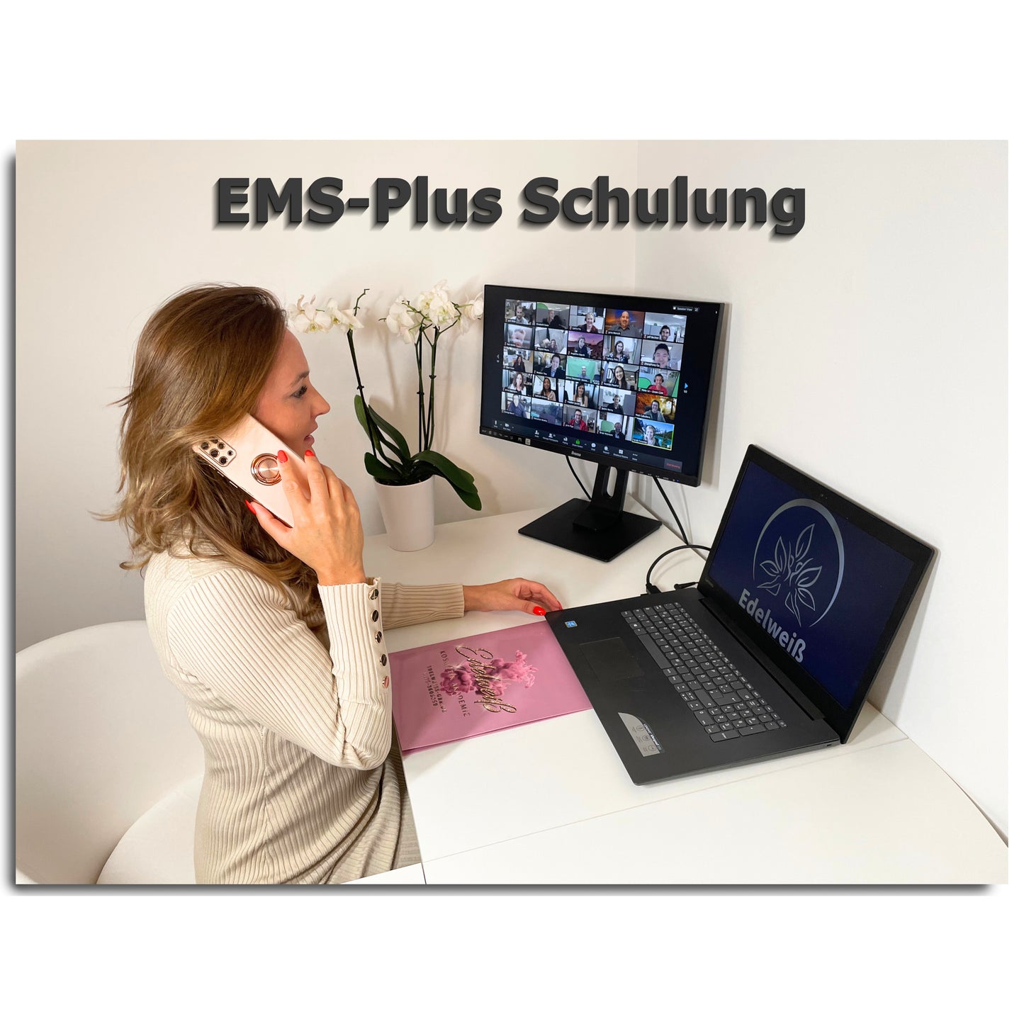 Ihre EMS-Plus Online Schulung