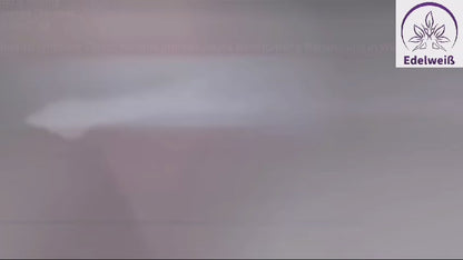 EMS-Plus Bodyforming Gerät | Kosmetisches System mit Muskelstimulation | Inkl. Schulung